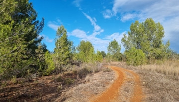 Resa Estates plots santa Gertrudis Ibiza for sale te koop  6.jpg
